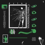 Dying Consciousness