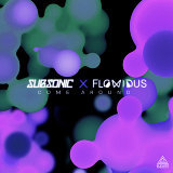 Subsonic, Flowidus - Come Around